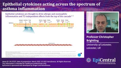 Epithelial cytokines and inflammatory pathways