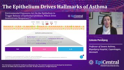 The role of epithelial cytokines in asthma_Porsbjerg