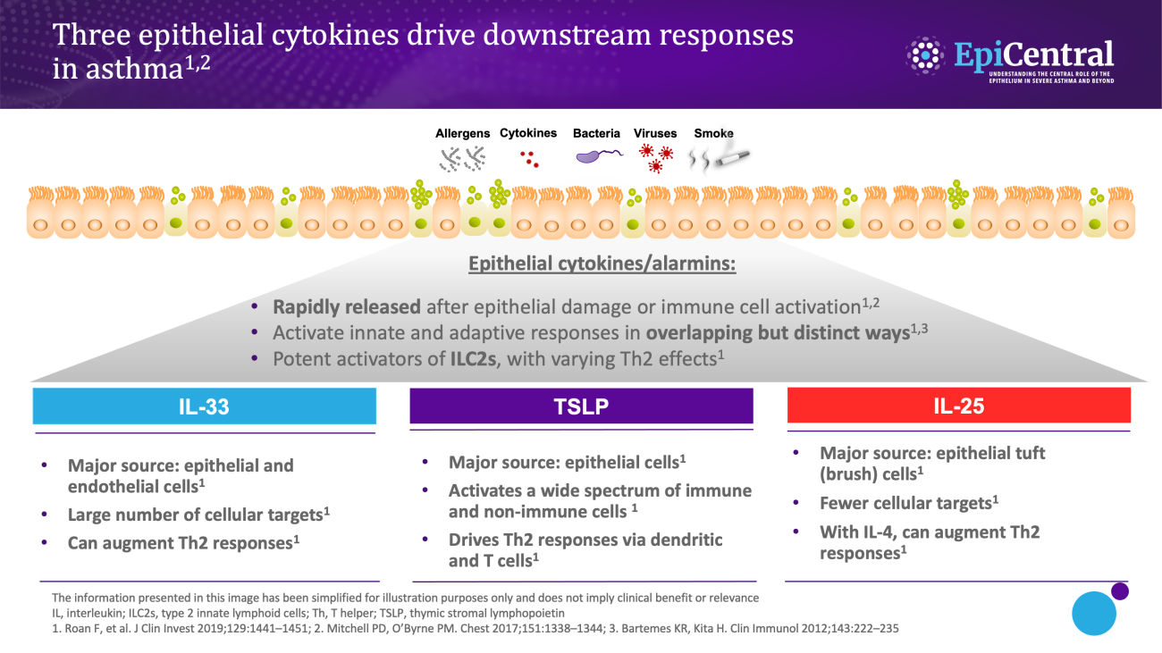 Multiple inflammatory pathways infographic