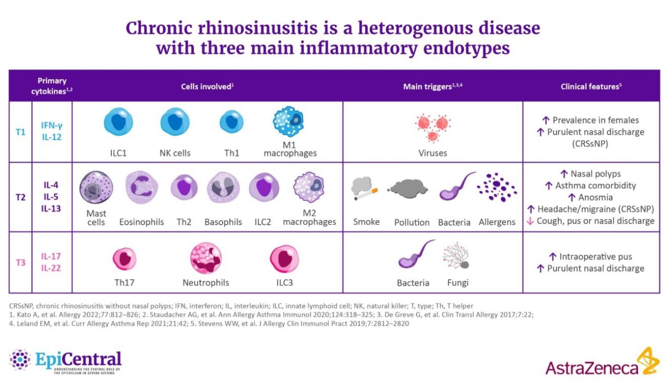 Chronic rhinosinusitis is a heterogenous disease with three main inflammatory endotypes